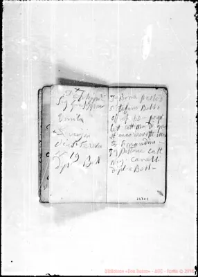 Fotogramma D 5