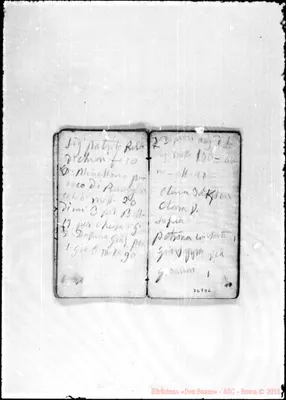Fotogramma D 6