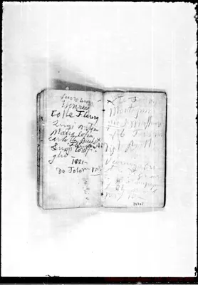 Fotogramma D 8