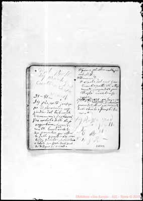 Fotogramma D 9
