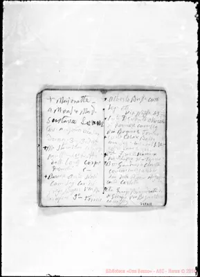 Fotogramma D 11