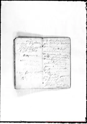 Fotogramma E 6