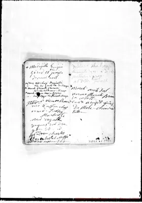 Fotogramma E 7