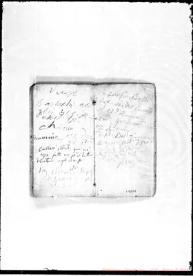 Fotogramma E 8