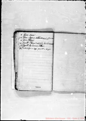 Fotogramma D 4