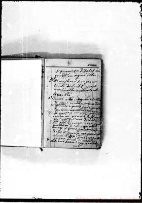Fotogramma D 9