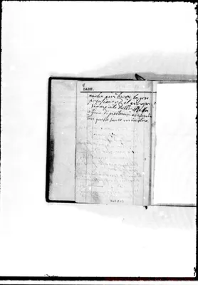 Fotogramma D 12