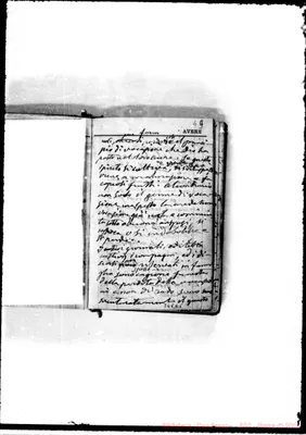 Fotogramma C 5