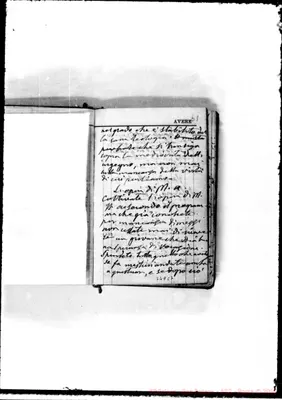 Fotogramma C 7