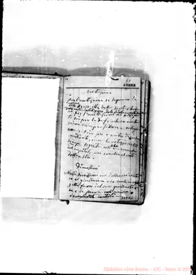 Fotogramma D 5