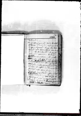 Fotogramma D 9