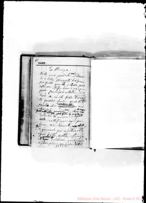 Fotogramma D 10
