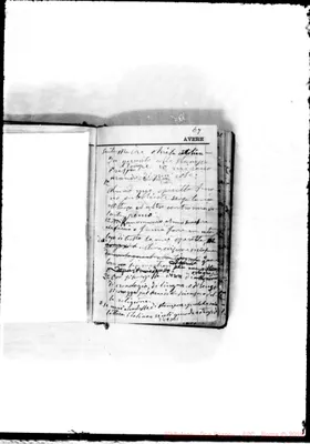 Fotogramma D 11