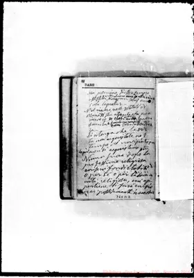 Fotogramma B 3