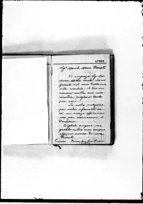 Fotogramma C 11