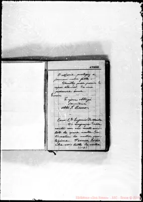 Fotogramma D 3