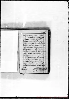 Fotogramma D 5