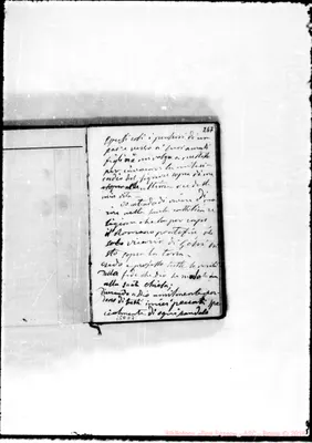 Fotogramma D 7