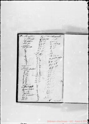 Fotogramma A 11