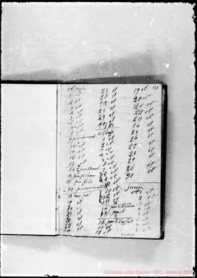 Fotogramma B 2