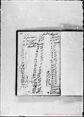 Fotogramma B 3