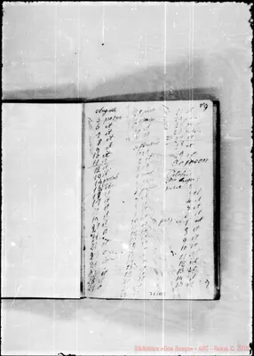 Fotogramma B 8