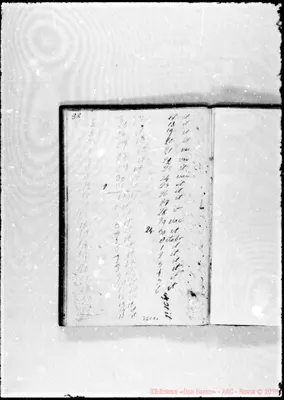 Fotogramma C 1