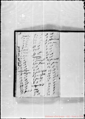Fotogramma C 5