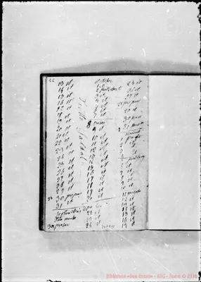 Fotogramma C 11