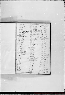 Fotogramma C 12