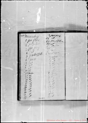 Fotogramma D 5
