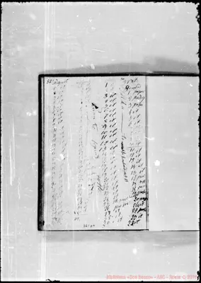 Fotogramma D 9