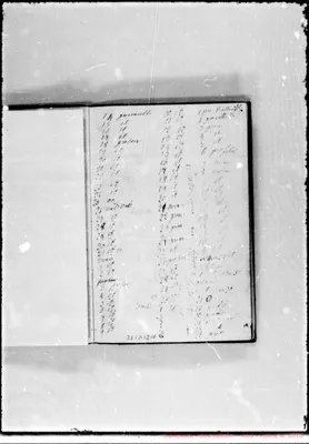 Fotogramma D 12