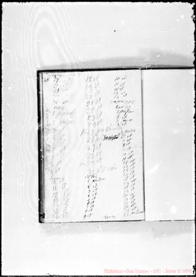 Fotogramma E 1