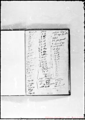 Fotogramma E 2