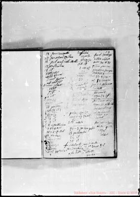 Fotogramma E 4
