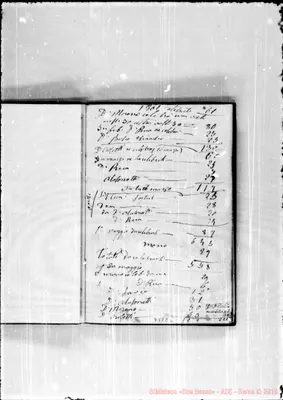 Fotogramma E 6