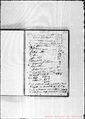 Fotogramma E 8