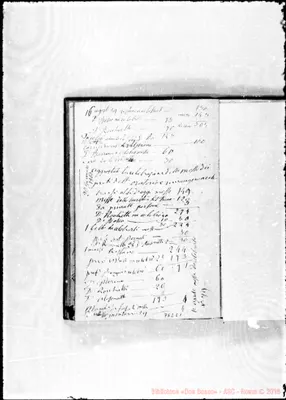 Fotogramma C 1