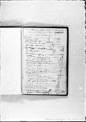 Fotogramma C 2