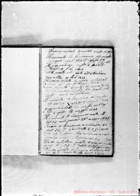 Fotogramma C 6
