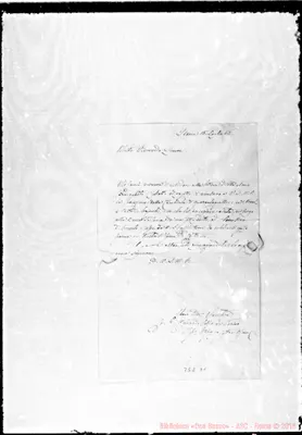 Fotogramma D 1