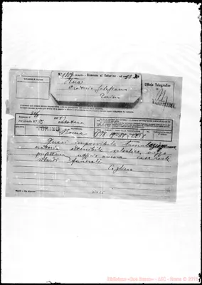 Fotogramma C 5