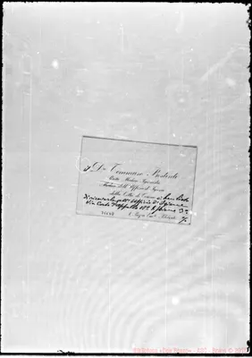 Fotogramma D 8
