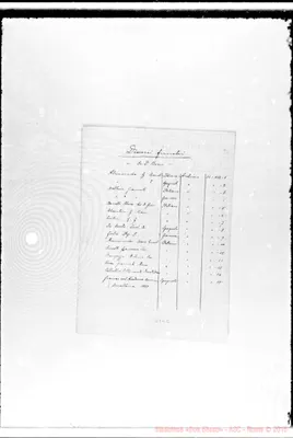 Fotogramma B 12