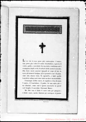 Fotogramma C 2