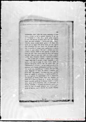 Fotogramma D 8