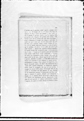 Fotogramma D 12