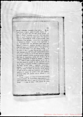 Fotogramma E 8