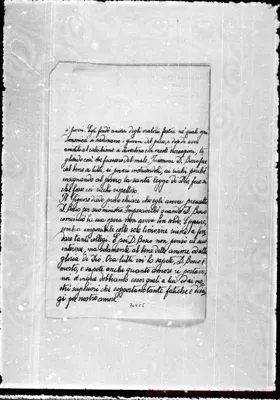 Fotogramma C 5